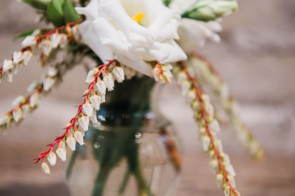 Babys Breath Alternatives - piersis