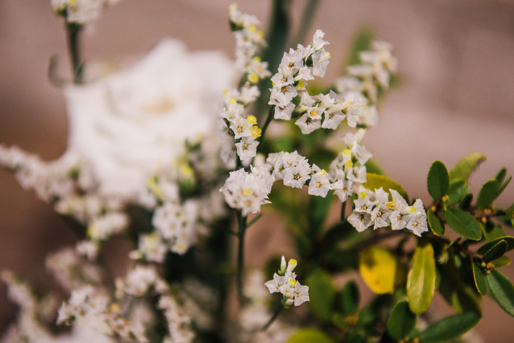 Babys Breath Alternatives - white limonium