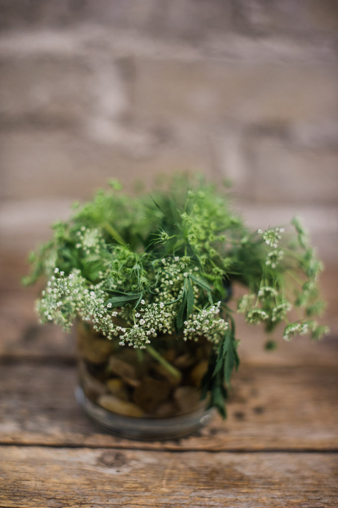 Baby's Breath alternatives Queen Anne's Lace